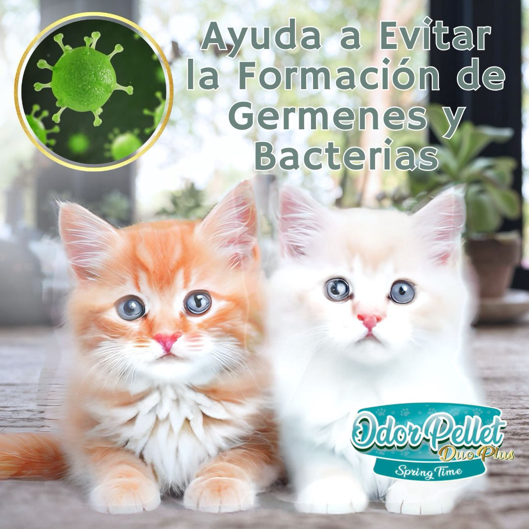 Perlas De Olor Para Arena De Gato